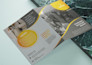 design custom flyer, poster or banner